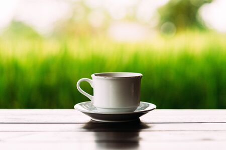White tea Cup on a beautiful background. White coffee Cup on the background of rice terraces in Bali. White tea Cup on a saucer. Cup on a beautiful background. Close-up photo of a mugの写真素材