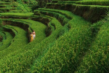 A man and a woman among the rice terraces. A couple in love travels through Asia. Man and woman are traveling in Bali. Happy couple in Bali. The couple travels the world. Rice terraces in Bali.の写真素材