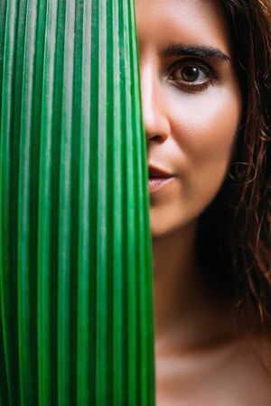 Portrait of a girl with a green leaf. Portrait of a beautiful girl with brown eyes. Portrait of a girl in close-up. Good and clean skin. Beautiful girl and green leaves. Looking at the cameraの写真素材