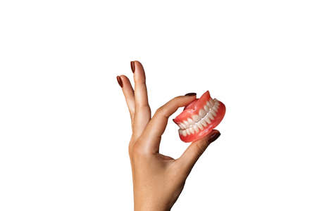 The dentist is holding dentures in his hands. Dental prosthesis in the hands of the doctor close-up. Front view of a complete denture on a white background. Dentistry conceptual photo. False teethの写真素材