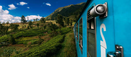 Blue train in Sri Lanka. Blue Sri Lankan Train goes through jungles, trees, wood, mountains. Travel by train in Asia, panorama. An Indian train passes through tea plantations. Travel in Indiaの写真素材