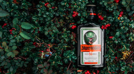Chelyabinsk, Russia - July 30, 2021: A bottle of Jagermeister on the lingonberry bushes, panorama. Bottle of Jagermeister, German digestif made with 56 herbs. Jagermeister herb liqueur bottle.のeditorial素材