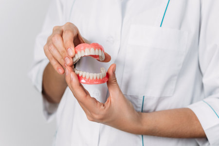 The dentist is holding dentures in his hands. Dental prosthesis in the hands of the doctor close-up. Front view of complete denture. Dentistry conceptual photo. Prosthetic dentistry. False teethの写真素材