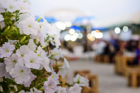 White flower at night market mekong riverside and bokehの写真素材