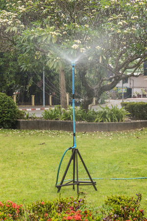 Water of grassの写真素材