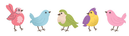Spring birds. Beautiful and cute colorful birds. Set of beautiful and cute birds. Vector of birds for postcards and t-shirts.のイラスト素材
