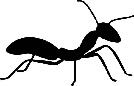 Silhouette of an ant on a white backgroundのイラスト素材