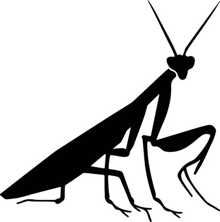Praying Mantis - Insect Silhouette Vector Illustrationのイラスト素材