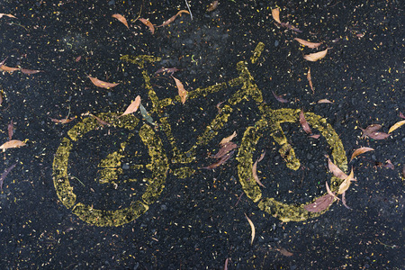 Old yellow bicycle lane sign on the road covered with dry leaves