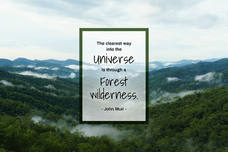 Motivational and inspirational quote. Hazy tropical forest and mountains landscape image with life adventure quote.の写真素材