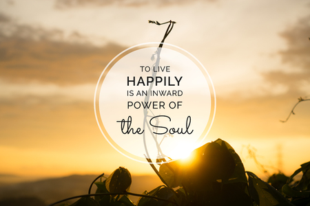 Motivational and inspirational quote. Blooming plant buds against sunset ray with happy life quote.の写真素材