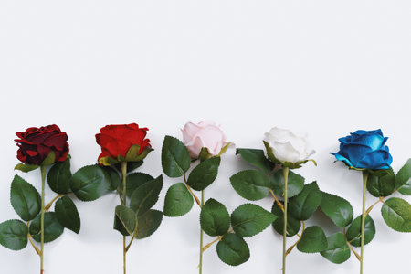 Multiple Colors of Decorative Rose Flowers Againts White Backgroundの写真素材