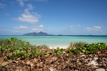 Beautiful Landscape of a Sunny Tropical Beachの写真素材