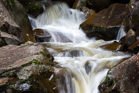 Close-up photo of a tranquil waterfall flowing over mossy rocks in a forest.の写真素材