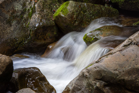Close-up photo of a tranquil waterfall flowing over mossy rocks in a forest.の写真素材