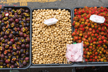 Assorted tropical fruits including mangosteens, lanzones (langsat), and rambutans displayed in Malaysia market.の写真素材