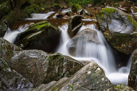 Close-up photo of a tranquil waterfall flowing over mossy rocks in a forest.の写真素材