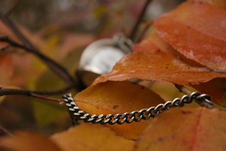 during the autumnの写真素材