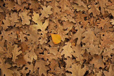 november
