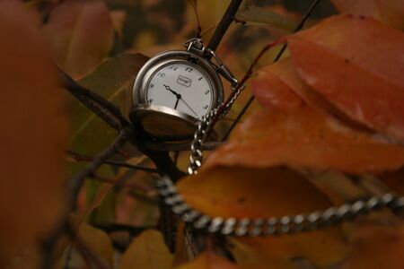 pocket watchの写真素材