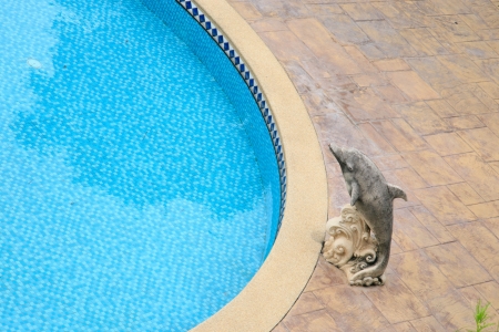 Nice swimming poolの写真素材
