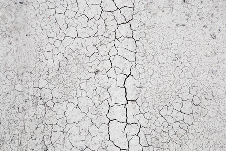 white dry landの写真素材