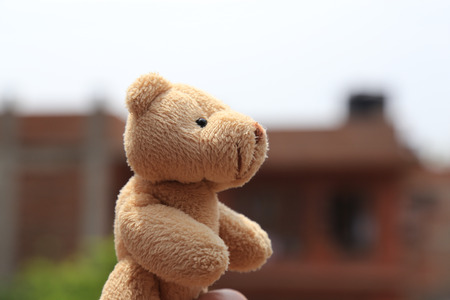Teddy bear on locationの写真素材