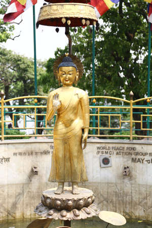 Gold Buddha standing motion