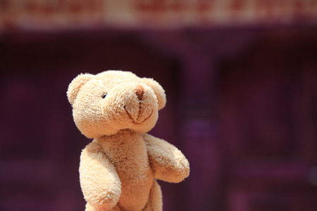 Teddy bear on locationの写真素材