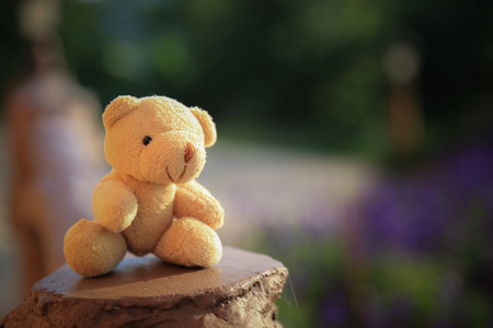 Bear doll in blurred backgroundの写真素材