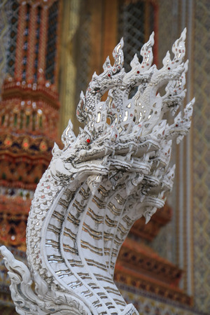 White Naga in Thai templeの写真素材