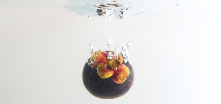 Mangosteen in water splashの写真素材