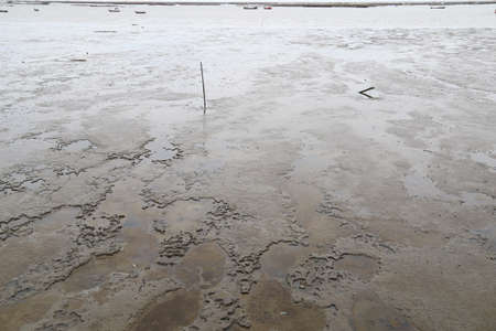 mud seaの写真素材