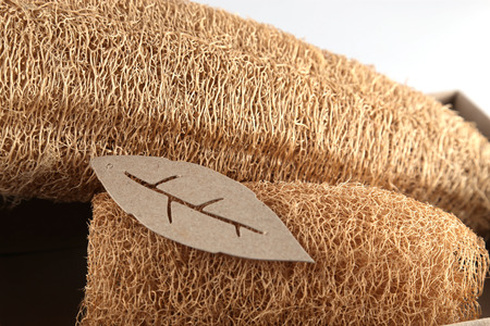 luffa