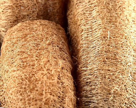 loofahの写真素材