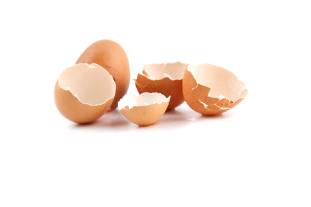 egg broken on white background