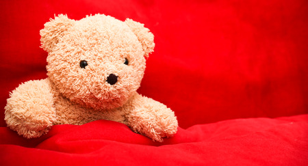 Brown teddy bear on red backgroundの写真素材