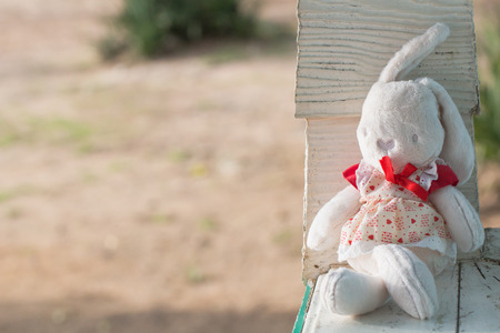 Cute rabbit doll sit on the wood bench, lonely feeling with warm toneの写真素材