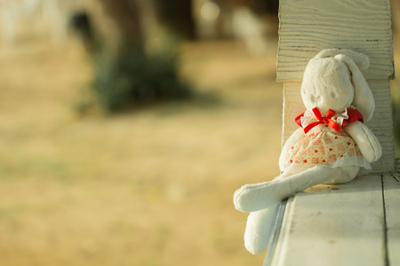 Cute rabbit doll sit on the wood bench, lonely feeling with warm toneの写真素材