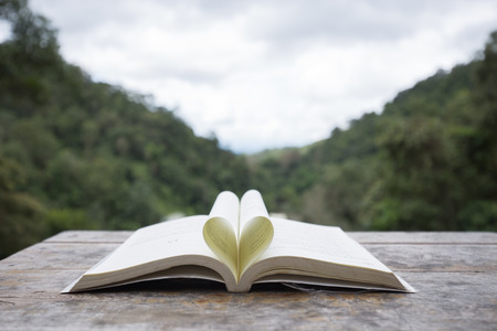 Heart book folding paper on wood in natureの写真素材