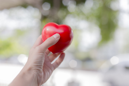 Red heart ball on woman's hand holding in nature with green bokeh as for care and loveの写真素材