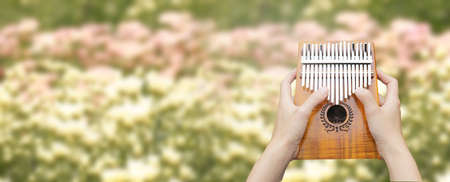 Kalimba or mbira, African musical instrument.Traditional to the Shona people of Zimbabwe. Kalimba...