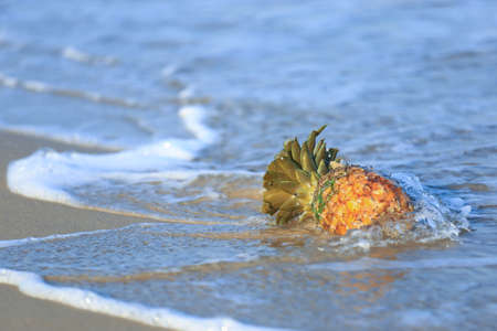 Fresh pineapple in the sea as tropical fruit on sand and wave on the beach