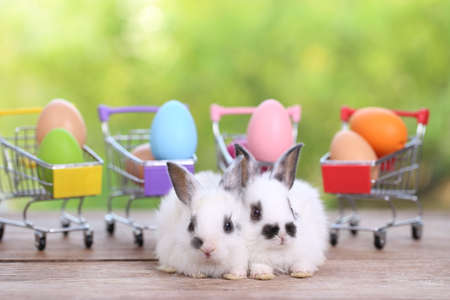 Baby cute and adorable rabbit sitting on green grass. Small and young bunny  is a lovely furry pet.  Easter concept on yellow background, egg and grass with bokeh as nature backgroundの写真素材