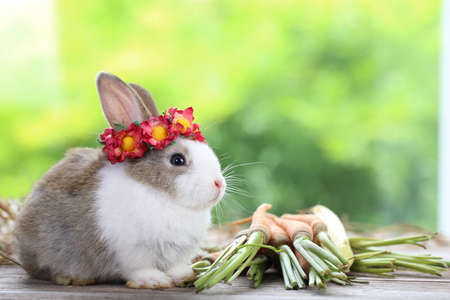 Cute little rabbit on green grass with natural bokeh as background during spring. Young adorable...