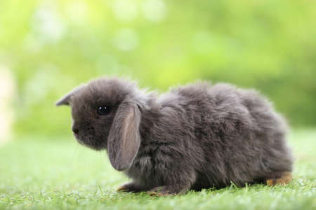Latte art hot coffee with tulip milk latte art on top of white ceramic glass set on table in coffee shop Hot chocolate drink with white foam on top in short cup with New York cake as dessert menu.の写真素材