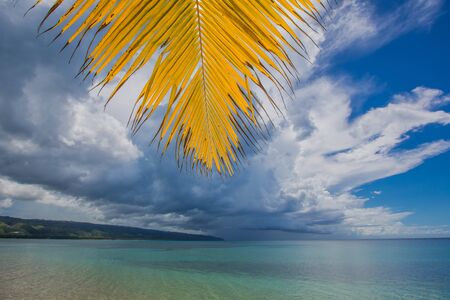 Amazing landscape in the wil beach Playa Bonita, Las Terrenas, Dominican Republic