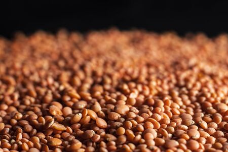 close-up studio shot with selective focus of red lentils in black backgroundの写真素材