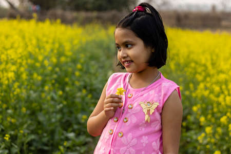 a pretty indian girl child in pink dress standing with a mustard flower in hand near yellow mustard...
