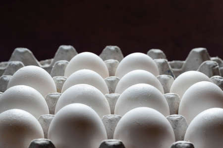Selective focus on rows of white poultry eggs in tray on black backgroundの写真素材